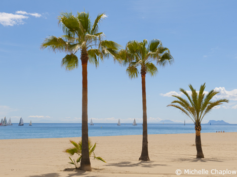 El 67% del litoral andaluz ©Michelle Chaplow. 10 cifras curiosas para describir a Andalucía